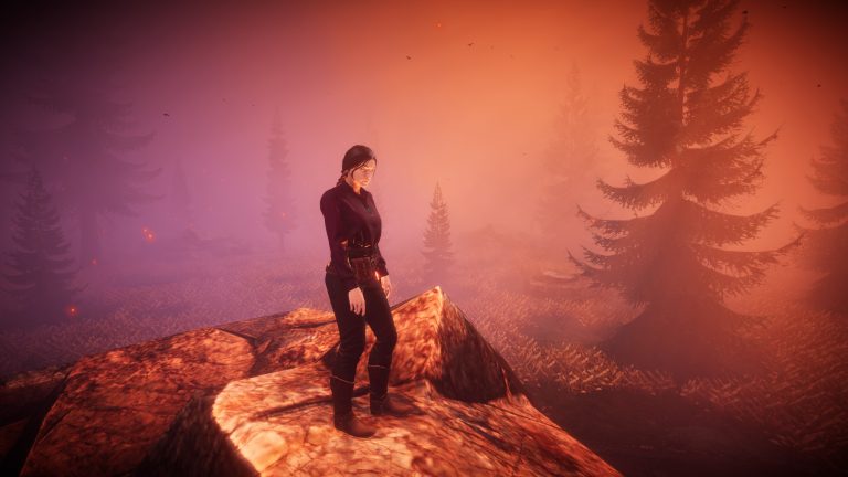 Pumpkin Woods