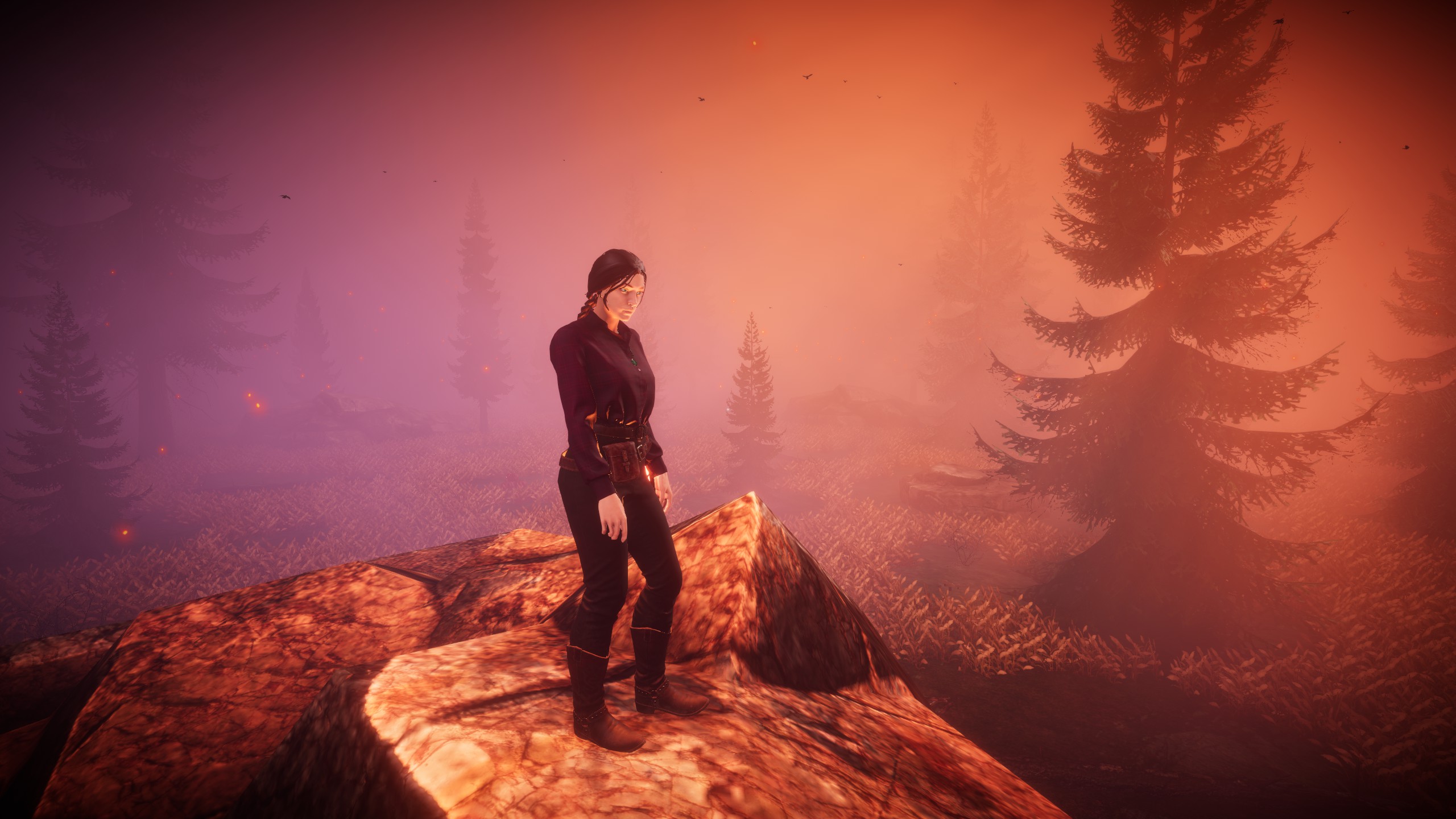 Pumpkin Woods
